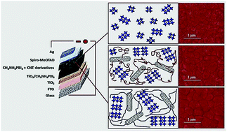 Graphical abstract: Efficacy beyond 17% via engineering the length and quality of grafts in organic halide perovskite/CNT photovoltaics