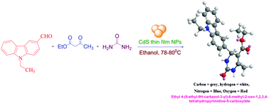 Graphical abstract: A nanocrystalline CdS thin film as a heterogeneous, recyclable catalyst for effective synthesis of dihydropyrimidinones and a new class of carbazolyl dihydropyrimidinones via an improved Biginelli protocol