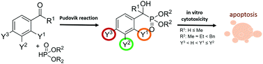 Graphical abstract: Synthesis and anticancer cytotoxicity with structural context of an α-hydroxyphosphonate based compound library derived from substituted benzaldehydes