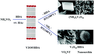 Graphical abstract: Ammonium hexadeca-oxo-heptavanadate microsquares. A new member in the family of the V7O16 mixed-valence nanostructures