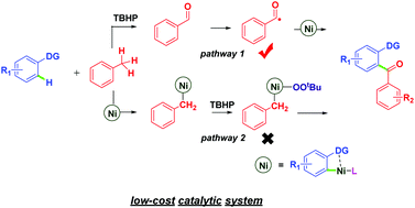 Graphical abstract: Nickel-catalyzed regioselective C–H acylation of chelating arenes: a new catalytic system for C–C bond formation via a radical process and its mechanistic explorations
