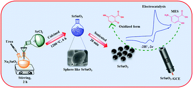 Graphical abstract: Designing novel perovskite-type strontium stannate (SrSnO3) and its potential as an electrode material for the enhanced sensing of anti-inflammatory drug mesalamine in biological samples