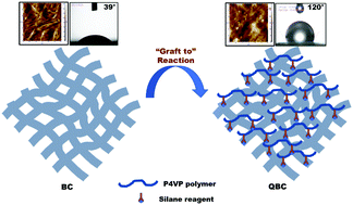 Graphical abstract: Immobilization of quaternized polymers on bacterial cellulose by different grafting techniques