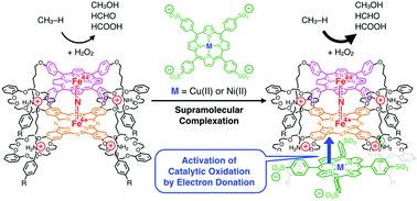 Graphical abstract: Catalytic methane oxidation by a supramolecular conjugate based on a μ-nitrido-bridged iron porphyrinoid dimer