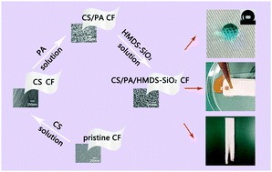 Graphical abstract: A facile coating with water-repellent and flame-retardant properties on cotton fabric