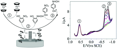 Graphical abstract: Reliable detection of o-nitrophenol and p-nitrophenol based on carbon nanotubes covalently functionalized with ferrocene as an inner reference