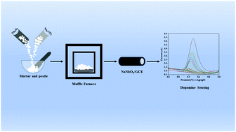 Graphical abstract: A facile, solid-state reaction assisted synthesis of a berry-like NaNbO3 perovskite structure for binder-free, highly selective sensing of dopamine in blood samples