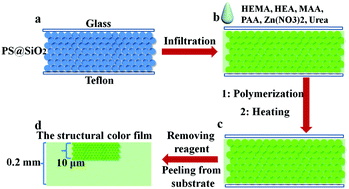 Graphical abstract: A flexible and robust dual-network supramolecular elastic film with solvent resistance and brilliant structural colors