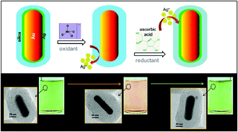 Graphical abstract: Reproducible mesoporous silica-coated gold@silver nanoprobes for the bright colorimetric sensing of ascorbic acid