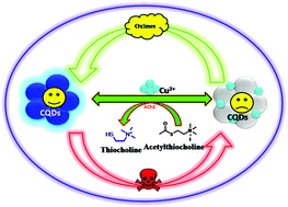 Graphical abstract: Facile and visual detection of acetylcholinesterase inhibitors by carbon quantum dots