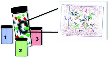 Graphical abstract: White light emission in water through admixtures of donor–π–acceptor siblings: experiment and simulation