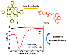 Graphical abstract: Noncovalent immobilization of Co(ii)porphyrin through axial coordination as an enhanced electrocatalyst on carbon electrodes for oxygen reduction and evolution