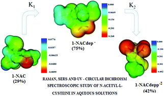 Graphical abstract: A Raman, SERS and UV-circular dichroism spectroscopic study of N-acetyl-l-cysteine in aqueous solutions