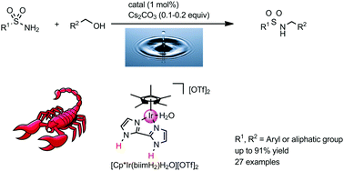 Graphical abstract: The N-alkylation of sulfonamides with alcohols in water catalyzed by a water-soluble metal–ligand bifunctional iridium complex [Cp*Ir(biimH2)(H2O)][OTf]2