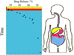 Graphical abstract: Layered composite based on halloysite and natural polymers: a carrier for the pH controlled release of drugs