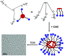 Graphical abstract: Dendrimer-based micelles as cyto-compatible nanocarriers