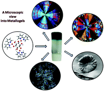 Graphical abstract: Supramolecular birefringent metallogels formed by trinuclear copper(ii) complexes with myo-inositol and bipyridyl ligands