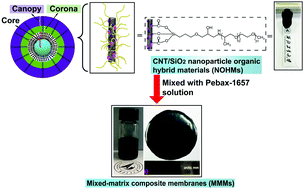 Graphical abstract: Liquid-like CNT/SiO2 nanoparticle organic hybrid materials as fillers in mixed matrix composite membranes for enhanced CO2-selective separation