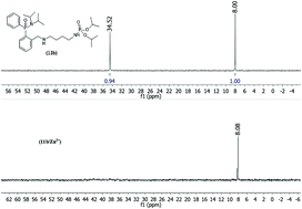 Graphical abstract: New o-substituted diphenylphosphinic amide ligands: synthesis, characterization and complexation with Zn2+, Cu2+ and Y3+