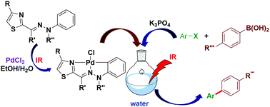 Graphical abstract: Thiazole-based non-symmetric NNC–palladium pincer complexes as catalytic precursors for the Suzuki–Miyaura C–C coupling