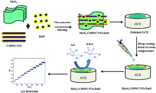 Graphical abstract: A flower-structured MoS2-decorated f-MWCNTs/ZnO hybrid nanocomposite-modified sensor for the selective electrochemical detection of vitamin C