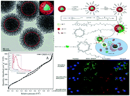 Graphical abstract: Multifunctional dual-mesoporous silica nanoparticles loaded with a protein and dual antitumor drugs as a targeted delivery system