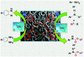 Graphical abstract: Catalytic synthesis of benzimidazoles and organic carbamates using a polymer supported zinc catalyst through CO2 fixation