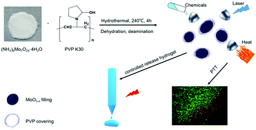 Graphical abstract: Molybdenum oxide nano-dumplings with excellent stability for photothermal cancer therapy and as a controlled release hydrogel
