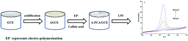 Graphical abstract: A simple and sensitive electrochemical sensor with A-PCA film modified electrode for the determination of metanephrine