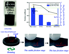 Graphical abstract: Urea modified fluorinated carbon nanotubes: unique self-dispersed characteristic in water and high tribological performance as water-based lubricant additives