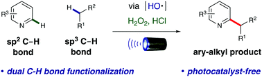 Graphical abstract: Green oxidant H2O2 as a hydrogen atom transfer reagent for visible light-mediated Minisci reaction