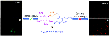 Graphical abstract: Synthesis of new triazole linked carbohybrids with ROS-mediated toxicity in breast cancer