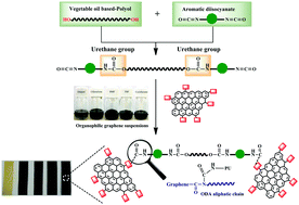 Graphical abstract: Organophilic graphene nanosheets as a promising nanofiller for bio-based polyurethane nanocomposites: investigation of the thermal, barrier and mechanical properties