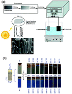 Graphical abstract: RuO2 photodeposited on W-doped and Cr-doped TiO2 nanotubes with enhanced photoelectrochemical water splitting and capacitor properties