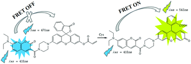 Graphical abstract: A FRET-based ratiometric fluorescent probe for highly selective detection of cysteine based on a coumarin–rhodol derivative
