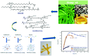 Graphical abstract: The design, preparation, and properties of dual-crosslinking copolymerized systems based on hemp oil