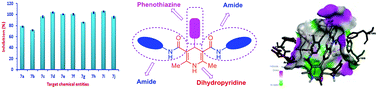 Graphical abstract: Phenothiazine and amide-ornamented dihydropyridines via a molecular hybridization approach: design, synthesis, biological evaluation and molecular docking studies