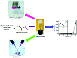 Graphical abstract: The development of a rapid self-healing semiconducting monoethanolamine-based Mg(OH)2 metallogel for a Schottky diode application with a high ON/OFF ratio