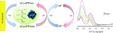 Graphical abstract: Electrocatalytic determination of Cd2+ and Pb2+ using an l-cysteine tungstophosphate self-assembled monolayer on a polycrystalline gold electrode