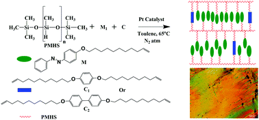 Graphical abstract: Side-chain polysiloxane liquid crystalline elastomers from non-mesogenic components