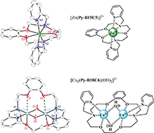 Graphical abstract: Synthesis, structure and metal ion coordination of novel benzodiazamacrocyclic ligands bearing pyridyl and picolinate pendant side-arms