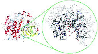 Graphical abstract: Binding of ellagic acid and urolithin metabolites to the CK2 protein, based on the ONIOM method and molecular docking calculations