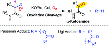 Graphical abstract: Copper-catalyzed oxidative cleavage of Passerini and Ugi adducts in basic medium yielding α-ketoamides