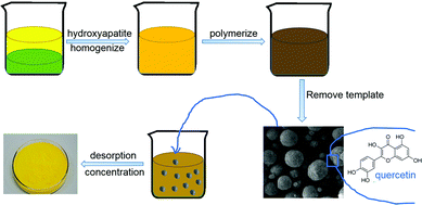 Graphical abstract: Molecularly imprinted polymers fabricated by Pickering emulsion polymerization for the selective adsorption and separation of quercetin from Spina Gleditsiae
