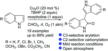 Graphical abstract: From indoles to 3,3′-biindolin-2-ones: copper-catalyzed oxidative homocoupling of indoles