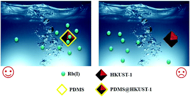 Graphical abstract: Water-resistant HKUST-1 functionalized with polydimethylsiloxane for efficient rubidium ion capture
