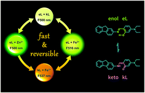 Graphical abstract: An easy-to-synthesize multi-photoresponse smart sensor for rapidly detecting Zn2+ and quantifying Fe3+ based on the enol/keto binding mode