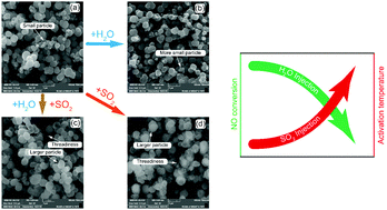 Graphical abstract: The inhibition effect and deactivation mechanism of H2O and SO2 on selective catalytic oxidation of NO over the Mn–Ca–Ox–(CO3)y catalyst