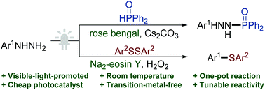 Graphical abstract: Visible-light-promoted organic dye-catalyzed sulfidation and phosphorylation of arylhydrazines toward aromatic sulfides and diarylphosphoryl hydrazides
