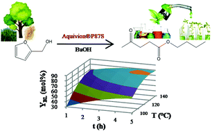 Graphical abstract: AQUIVION® perfluorosulfonic acid resin for butyl levulinate production from furfuryl alcohol